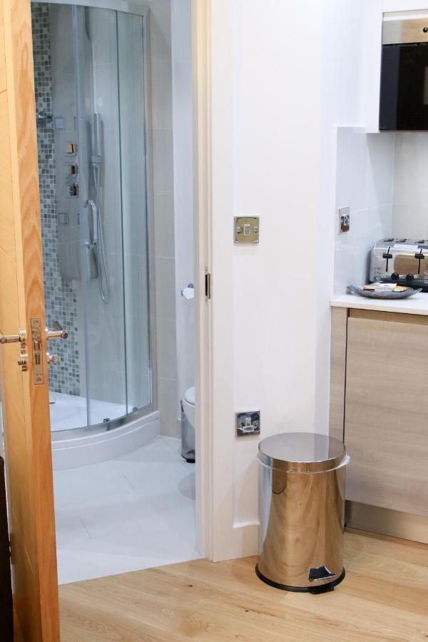 Executive Bright And Airy Studio Apartment In Sydenham Лондон Екстер'єр фото